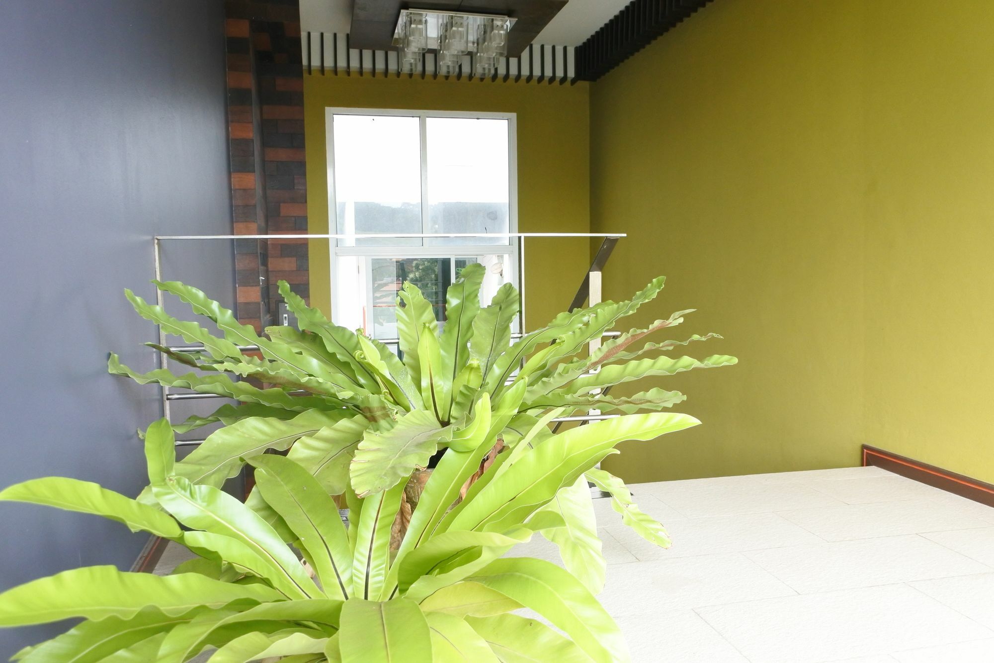 Baannueng@Kathu Hotell Phuket Eksteriør bilde